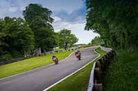 anglesey;brands-hatch;cadwell-park;croft;donington-park;enduro-digital-images;event-digital-images;eventdigitalimages;mallory;no-limits;oulton-park;peter-wileman-photography;racing-digital-images;silverstone;snetterton;trackday-digital-images;trackday-photos;vmcc-banbury-run;welsh-2-day-enduro